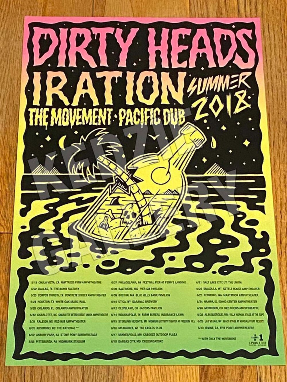Dirty Heads 2018 Iration The Movement Live Summer Tour Record Store Promo Poster